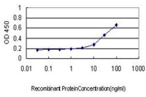 Detection limit for recombinant GST tagged LMO3 is approximately 3ng/ml as a capture antibody. (LMO3 Antikörper  (AA 91-146))