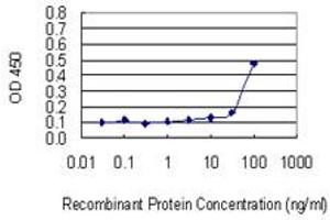 Detection limit for recombinant GST tagged RASD2 is 10 ng/ml as a capture antibody. (RASD2 Antikörper  (AA 1-266))