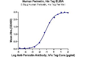 Immobilized Human Periostin, His Tag at 0. (Periostin Protein (POSTN) (AA 22-836) (His tag))
