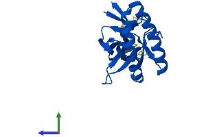 Protein Structure (PS) image for Tumor Protein, Translationally-Controlled 1 (TPT1) (AA 1-172) protein (His tag) (ABIN7556636)