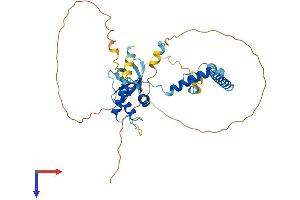 SEC62 Protein (AA 1-399) (His tag)