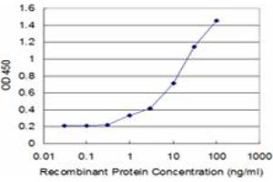 Detection limit for recombinant GST tagged DCK is approximately 1ng/ml as a capture antibody. (DCK Antikörper  (AA 161-260))