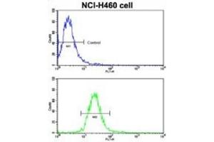 Flow Cytometry (FACS) image for anti-EPH Receptor B2 (EPHB2) antibody (ABIN3003348) (EPH Receptor B2 Antikörper)