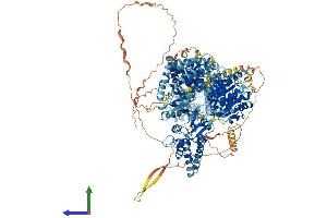 Protein Structure (PS) image for DEAH (Asp-Glu-Ala-His) Box Polypeptide 29 (DHX29) (AA 1-1369) protein (His tag) (ABIN7553705)