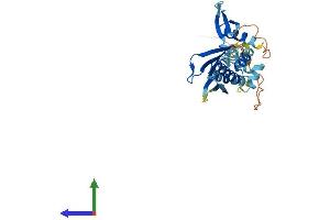 Protein Structure (PS) image for Protein Kinase, Interferon-Inducible Double Stranded RNA Dependent Activator (PRKRA) (AA 1-313) protein (His tag) (ABIN7551036)