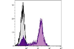 Human peripheral blood lymphocytes were stained with Mouse Anti-Human CD5-FITC. (CD5 Antikörper  (PE))