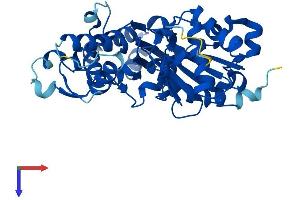 ACTRT2 Protein (AA 1-377) (His tag)