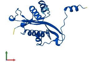 Protein Structure (PS) image for Spermidine/spermine N1-Acetyltransferase 1 (SAT1) (AA 1-171) protein (His tag) (ABIN7563304)