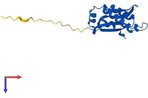 PTRHD1 Protein (AA 1-140) (His tag)