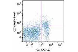 Flow Cytometry (FACS) image for anti-5'-Nucleotidase, Ecto (CD73) (NT5E) antibody (Pacific Blue) (ABIN2662306) (CD73 Antikörper  (Pacific Blue))