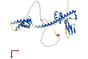 DP1 Protein (AA 1-410) (His tag)
