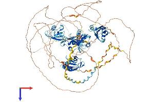RBM12 Protein (AA 1-992) (His tag)