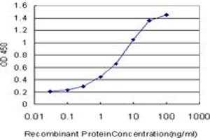 Detection limit for recombinant GST tagged C20orf18 is approximately 0. (RBCK1 Antikörper  (AA 3-99))