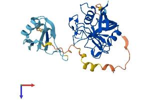 PPIE Protein (AA 1-301) (His tag)