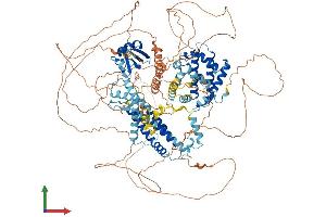 Protein Structure (PS) image for Large Proline-Rich Protein BAT3 (BAT3) (AA 1-1154) protein (His tag) (ABIN7565279)