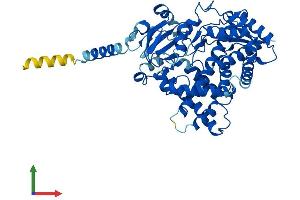 AlphaFold protein structure predicition of Mouse Recombinant Cyp2j6 Protein, UniprotID O54750