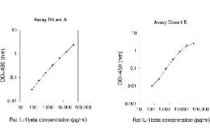 ELISA image for Interleukin 1, beta (IL1B) ELISA Kit (ABIN1980058) (IL-1 beta ELISA Kit)
