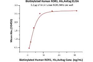 ELISA image for Receptor Tyrosine Kinase-Like Orphan Receptor 1 (ROR1) (AA 30-403) protein (His tag,AVI tag,Biotin) (ABIN6386448)