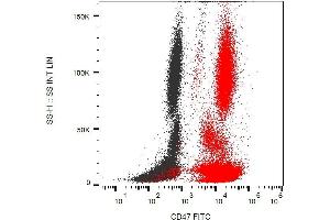 Surface staining of human peripheral blood with anti-CD47 (MEM-122) FITC. (CD47 Antikörper  (FITC))