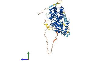 Protein Structure (PS) image for Phosphatidylinositol 4-Kinase Type 2 alpha (PI4K2A) (AA 1-479) protein (His tag) (ABIN7557010)