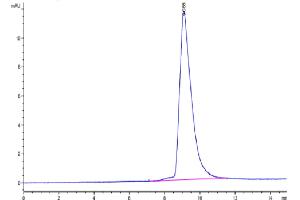 The purity of Mouse ANTXR2 is greater than 95 % as determined by SEC-HPLC. (ANTXR2 Protein (AA 32-318) (His tag))