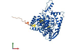 Protein Structure (PS) image for Glutaminyl-tRNA Synthase (Glutamine-Hydrolyzing)-Like 1 (QRSL1) (AA 1-528) protein (His tag) (ABIN7547804)