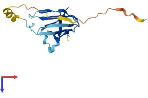 VHLL Protein (AA 1-139) (His tag)