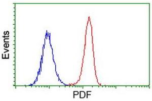 Image no. 2 for anti-Growth Differentiation Factor 15 (GDF15) antibody (ABIN1500099) (GDF15 Antikörper)