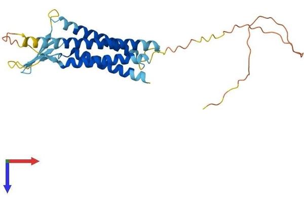 Claudin 18 Protein (CLDN18) (AA 1-261) (His tag)