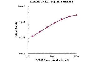 ELISA image for Chemokine (C-C Motif) Ligand 17 (CCL17) ELISA Kit (ABIN3198509)