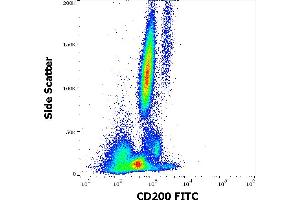Flow cytometry surface staining pattern of human peripheral whole blood stained using anti-human CD200 (OX-104) FITC antibody (4 μL reagent / 100 μL of peripheral whole blood).