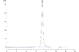 The purity of Mouse E-selectin is greater than 95 % as determined by SEC-HPLC.
