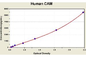 Calmodulin 1 (CALM1) ELISA Kit