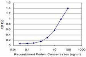 Detection limit for recombinant GST tagged CARF is approximately 1ng/ml as a capture antibody. (CDKN2AIP Antikörper  (AA 1-579))