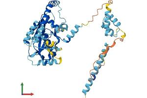 Protein Structure (PS) image for Ancient Ubiquitous Protein 1 (Aup1) (AA 1-410) protein (His tag) (ABIN7556688)