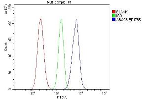 Flow Cytometry analysis of RH35 cells using anti-ABCG8 antibody (ABIN7601918).