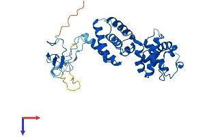 GTF2B Protein (AA 1-316) (His tag)