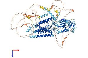 RHBDF1 Protein (AA 1-856) (His tag)