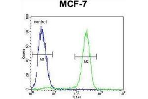 Flow cytometric analysis of MCF-7 cells using Otopetrin-3 Antibody (C-term) Cat. (OTOP3 Antikörper  (C-Term))