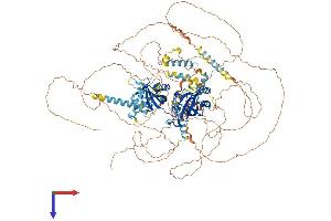 PER3 Protein (AA 1-1113) (His tag)