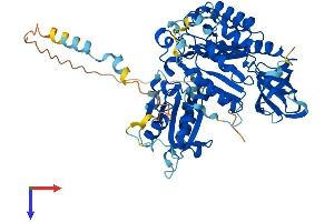 CDK5RAP1 Protein (AA 1-588) (His tag)