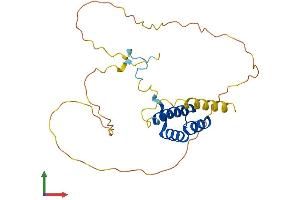 Protein Structure (PS) image for Homeobox C8 (HOXC8) (AA 1-242) protein (His tag) (ABIN7562767)