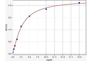 SLC26A4 ELISA Kit