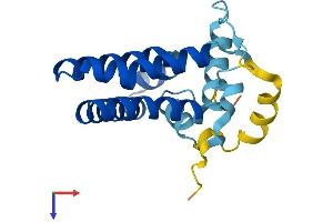 PRAF2 Protein (AA 1-178) (His tag)