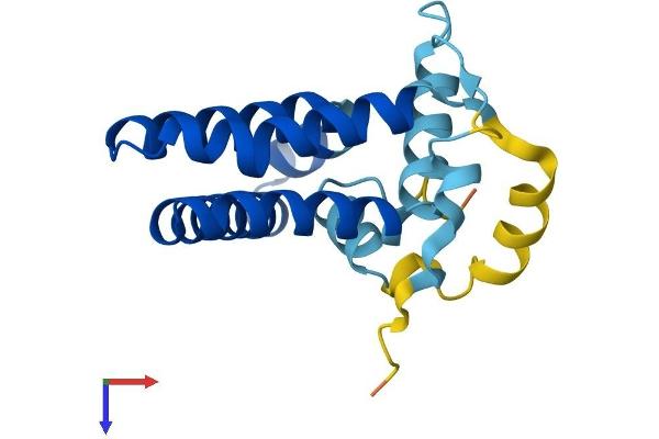 PRAF2 Protein (AA 1-178) (His tag)