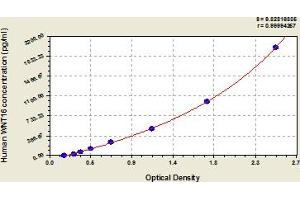 Typical Standard Curve (WNT16 ELISA Kit)