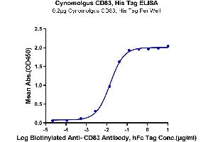 Immobilized Cynomolgus CD83, His Tag at 2 μg/mL (100 μL/well) on the plate. (CD83 Protein (CD83) (AA 20-147) (His tag))
