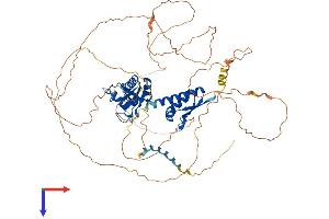 MEX3C Protein (AA 1-659) (His tag)
