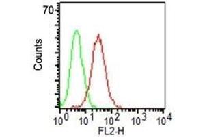 Flow Cytometry of KG-1 cells using CD34 Monoclonal Antibody (HPCA1/1171) (red) & isotype control (green). (CD34 Antikörper)