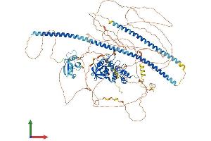Protein Structure (PS) image for Tumor Protein P53 Binding Protein 2 (TP53BP2) (AA 1-1128) protein (His tag) (ABIN7564568)